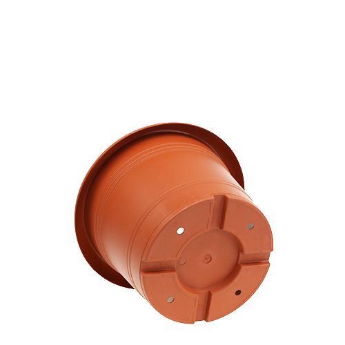 Floristik24 Plant pot "Oliver" terracotta Ø15cm