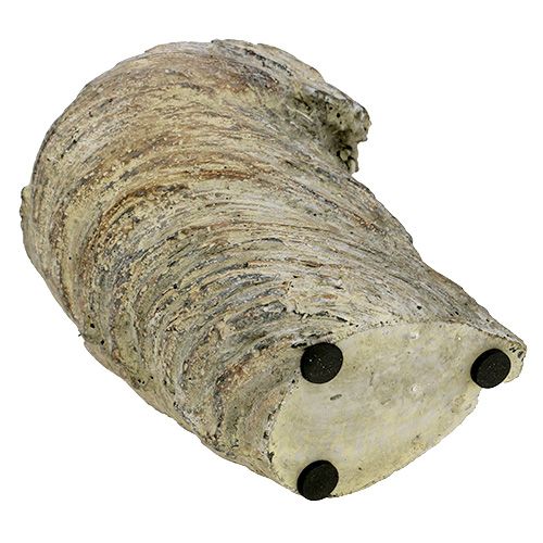 Floristik24 Plant pot tree trunk Ø11.5cm H14cm 2pcs