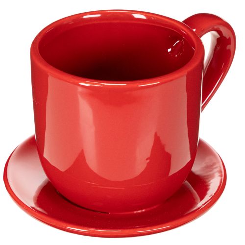 Large decorative cup with saucer, suitable as a plant pot, 17cm buy online | Floristik24.ie