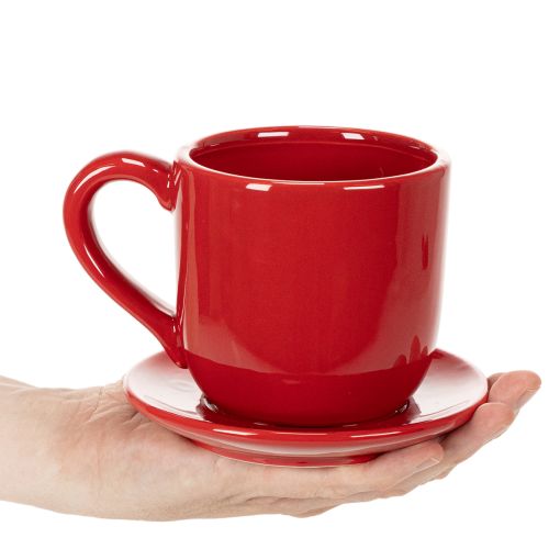 Large decorative cup with saucer, suitable as a plant pot, 17cm | Floristik24.ie