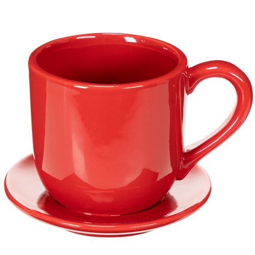 Large decorative cup with saucer, suitable as a plant pot, 17cm | Floristik24.ie