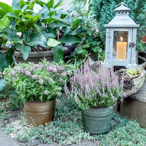 Floristik24 Plant pot orange, brown, green Ø15cm H14cm set of 3