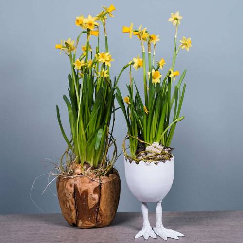 Floristik24 Eggshell plant pot with legs Ø13cm H21cm white