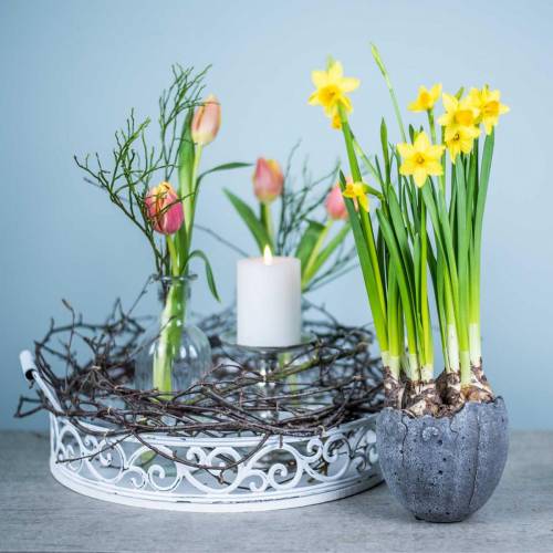 Floristik24 Plant pot egg shell Ø12cm H11.5cm 6pcs