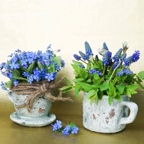 Product Plant Pot Planter Cup with Saucer Vintage Grey, Natural Clay Ø8cm H6.5cm 4 pcs