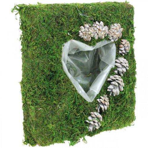 Floristik24 Plant cushion heart moss and cones, washed white 25 × 25cm