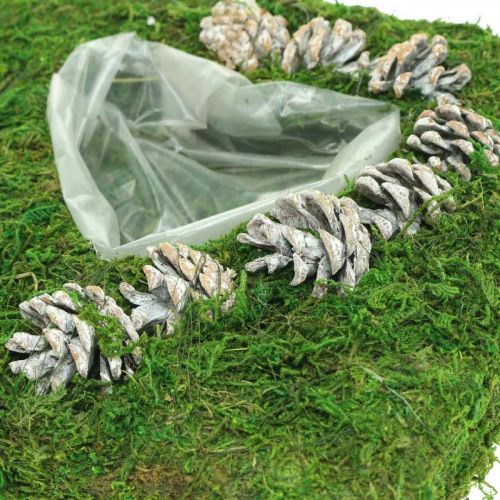 Floristik24 Plant cushion heart moss and cones, washed white 25 × 25cm
