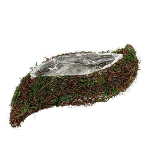 Floristik24 Plant wave moss with vine 28cm x30cm