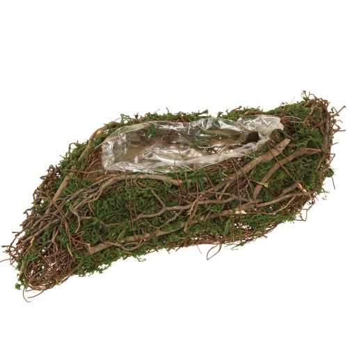 Floristik24 Planter with natural vines & moss Wave 20×20×6.5cm
