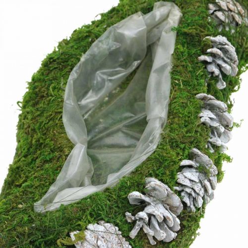 Planter moss and cones wave green, washed white 41 × 15cm