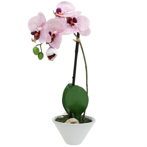 Floristik24 Artificial Phalaenopsis purple-white in bowl H38cm