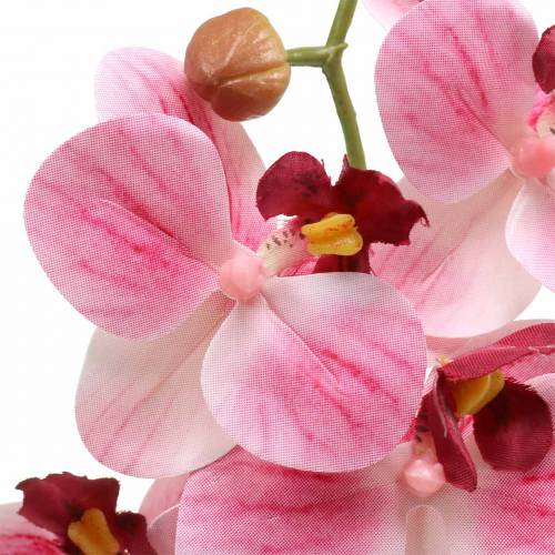 Artificial orchid branch Phaelaenopsis Pink H49cm