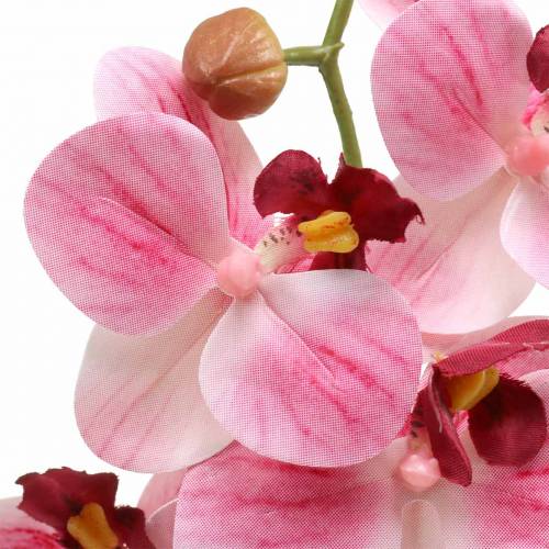 Floristik24 Artificial orchid branch Phaelaenopsis Pink H49cm