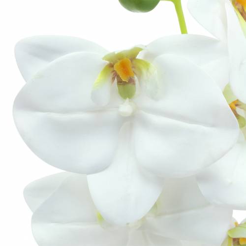 Product Artificial orchid branch Phaelaenopsis White H49cm