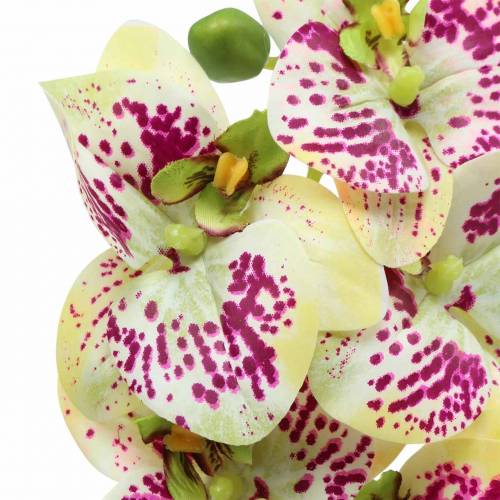 Product Artificial orchid branch Phaelaenopsis Green Pink H49cm