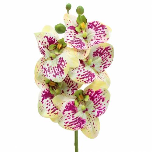 Artificial orchid branch Phaelaenopsis Green Pink H49cm