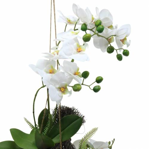 Orchid with fern and moss ball artificial white hanging 64cm