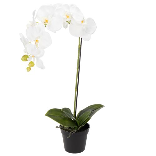 Artificial orchid plant, deceptively realistic, for office and living room decoration, 62cm