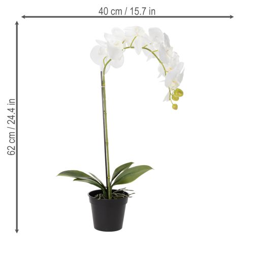 Product Artificial orchid plant, deceptively realistic, for office and living room decoration, 62cm