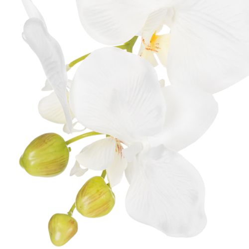 Product Artificial orchid plant, deceptively realistic, for office and living room decoration, 62cm