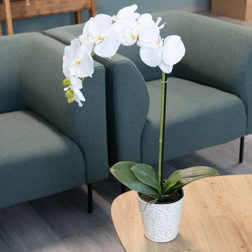 Product Artificial orchid plant, deceptively realistic, for office and living room decoration, 62cm