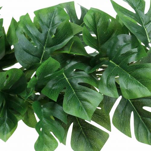 Floristik24 Philodendron hanger green 85cm