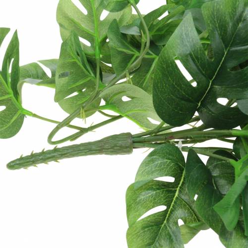 Floristik24 Philodendron hanger green 85cm