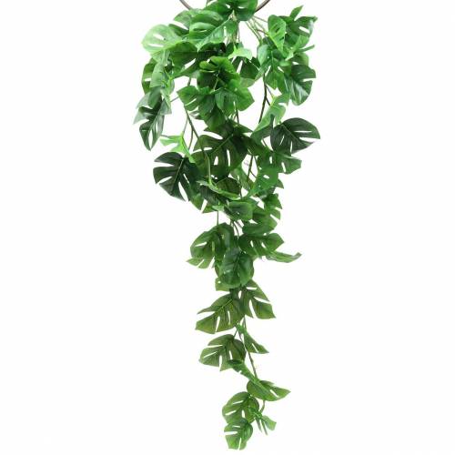 Floristik24 Philodendron hanger green 85cm