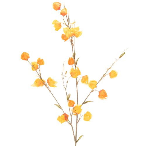Artificial Chinese lantern plant, Physalis branch with blossoms, 95cm buy online | Floristik24.ie