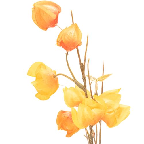 Artificial Chinese lantern plant, Physalis branch with blossoms, 95cm | Floristik24.ie