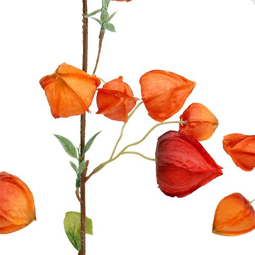 Floristik24 Physalis branch 90cm orange 3pcs