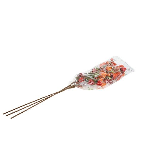 Floristik24 Physalis branch 90cm orange 3pcs