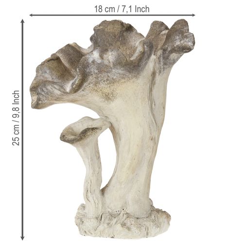 Product Mushroom decoration cast stone figure garden decoration gray 18×16×25cm