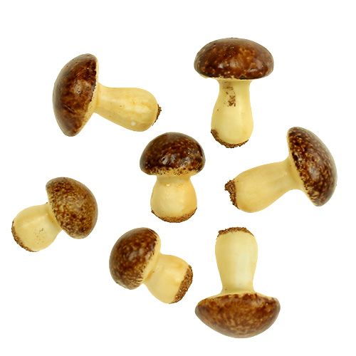 Floristik24 Mushroom mix brown 24pcs