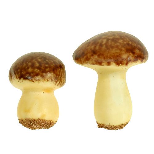Product Mushroom mix brown 24pcs