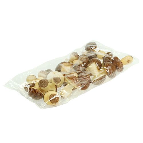 Floristik24 Mushroom mix brown 24pcs