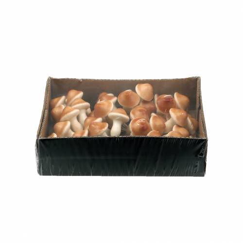 Floristik24 Mushrooms on wire natural 2cm 48 pcs