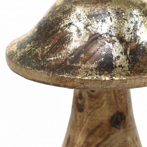 Floristik24 Wooden mushroom golden, natural mango wood Ø6.8cm H9.8cm 2pcs