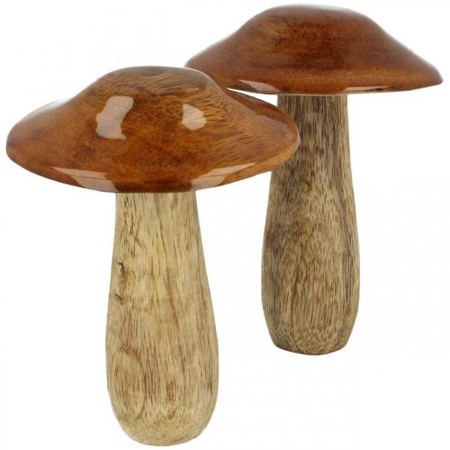 Floristik24 Mushroom mango wood brown, nature table decoration autumn Ø9cm H12cm 2pcs