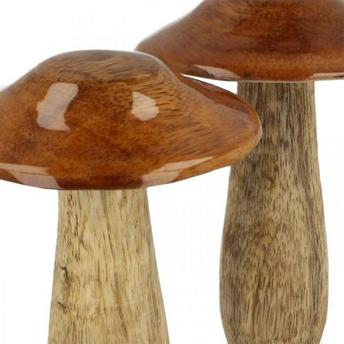 Floristik24 Mushroom mango wood brown, nature table decoration autumn Ø9cm H12cm 2pcs