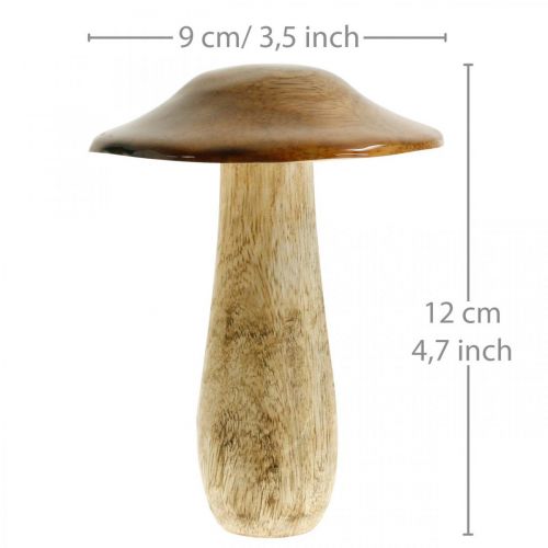 Floristik24 Mushroom mango wood brown, nature table decoration autumn Ø9cm H12cm 2pcs