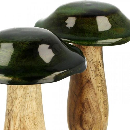 Floristik24 Mushroom green mango wood autumn decoration made of wood Ø9cmH11cm 2pcs