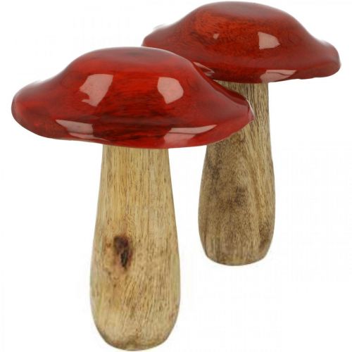 Floristik24 Mushroom mango wood red, nature decoration autumn Ø9cm H12cm 2pcs