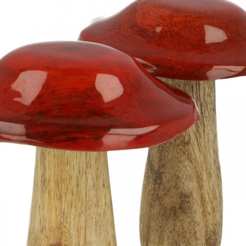 Floristik24 Mushroom mango wood red, nature decoration autumn Ø9cm H12cm 2pcs