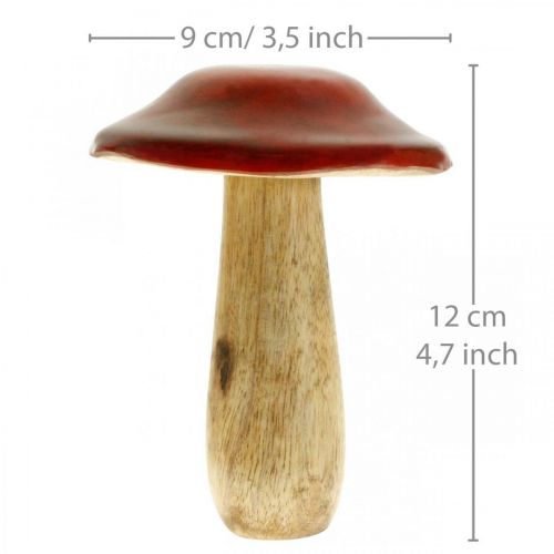 Floristik24 Mushroom mango wood red, nature decoration autumn Ø9cm H12cm 2pcs
