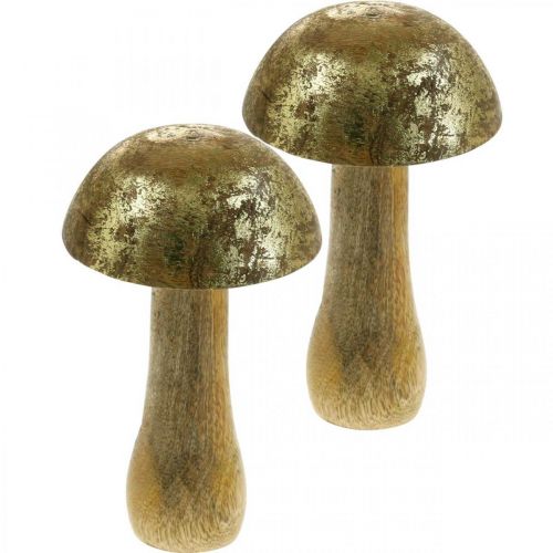 Floristik24 Mushroom mango wood gold, natural decorative mushroom Ø9cm H15.5cm 2pcs