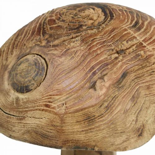 Floristik24 Mushroom, paulownia wood, autumn, wood decoration Ø18–20cm H28cm