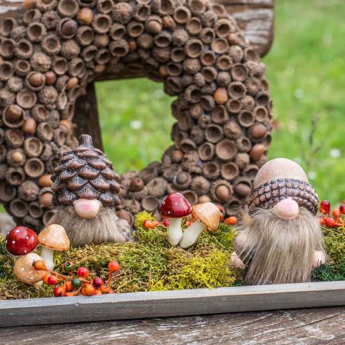 Floristik24 Mushrooms sorted 3cm x 5cm on wire 48 pcs