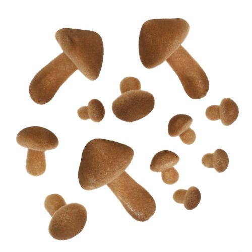 Mushrooms light brown mix 2cm - 8cm 12pcs