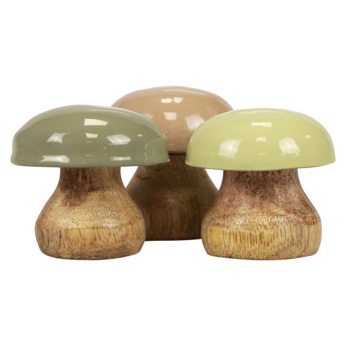 Floristik24 Wooden Mushrooms Deco Mushrooms Wood Deco Beige, Green Ø5cm H5.5cm 12pcs